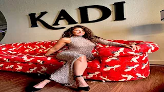 بفستان لامع.. هيدي كرم تخطف الأنظار بإطلالتها