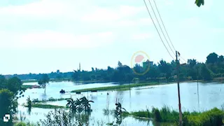 في عزبة أبو داود.. رحلة علم محفوفة بالرعب (صور)