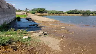 زراعة المنوفية: غرق 687 فدانًا بطرح النهر لارتفاع منسوب النيل (صور)