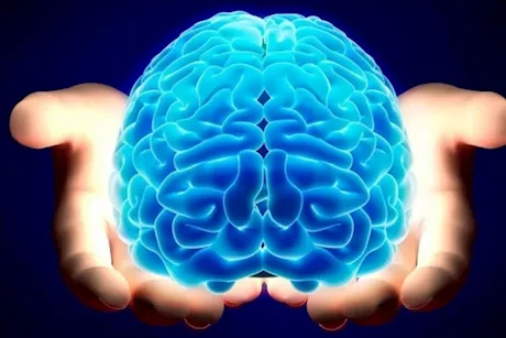 طبيب يوضح فوائد أحماض أوميجا 3 للمخ.. 