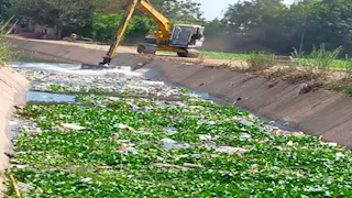 زراعة المنوفية: تطهير 8.5 كم مساقٍ ومنح 807 تراخيص في 9 أشهر (صور)