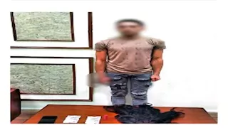 "مقاطع مُخلة تقوده للقضاء".. تفاصيل الحكم على الراقص "ميشو" بالإسكندرية 