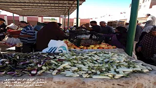 بالصور- طرح سلع بتخفيضات 30% في الوادي الجديد