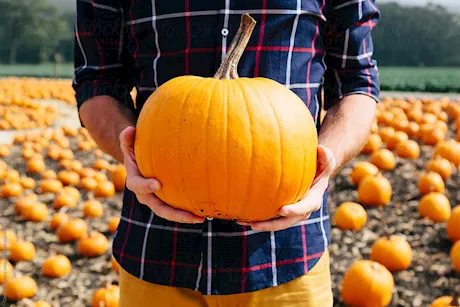 قرع العسل للرجال- كيف يؤثر على الصحة الجنسية؟