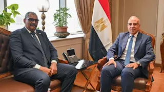 وزير الري ونظيره السوداني يبحثان التعاون المشترك وقضايا النيل