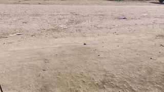 طريق "نشرت - حصة الغنيمي" بكفر الشيخ أزمة مستمرة تُعطل مصالح المواطنين -صور