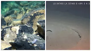 حقل كونلون الغامض.. اكتشاف ضخم في أعماق المحيط الهادئ