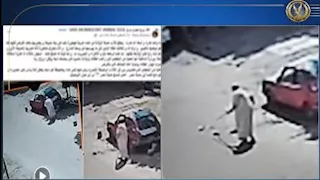 بعد تداول فيديو.. مسن يبرر اعتداءه على كلاب صغيرة بمدينة نصر: "خوفت يعضوني"