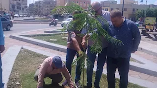 حملات تشجير وفحص عوادم السيارات في احتفالات البحيرة باليوم الدولي للهواء النظيف