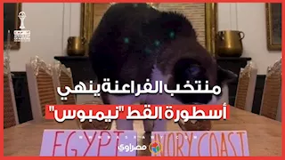 بعد فوزه على كوت ديفوار.. منتخب الفراعنة ينهي أسطورة "القط نيمبوس" عراف التوقعات