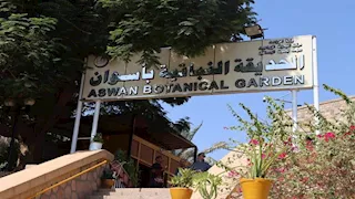 17 فدانًا من الجمال.. جزيرة النباتات النادرة بأسوان مقصد السياح الأول (صور)