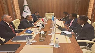 وزير الخارجية يؤكد رفض مصر أي إجراءات أحادية لفرض كيانات موازية بالصومال