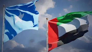 الصومال تلغي جميع الاتفاقيات الموقعة مع دولة الإمارات 