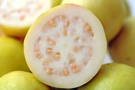 طبيب يبرئ بذور الجوافة من هذا المرض