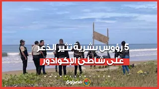 5 رؤوس بشرية مفصولة عن الجسد تثير الذعر على شاطئ الإكوادور