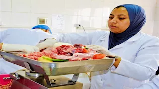 برجر ولانشون.. بدء تشغيل وحدة تكنولوجيا اللحوم بـ"بيطري القاهرة"