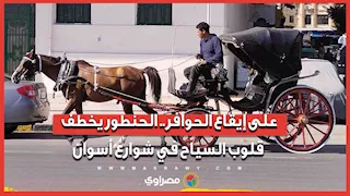 على إيقاع الحوافر.. الحنطور يخطف قلوب السياح في شوارع أسوان