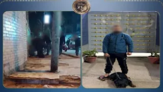 فيديو صادم | كلب يهاجم عامل بعد تحريض صاحبه.. وتحرك عاجل من الداخلية