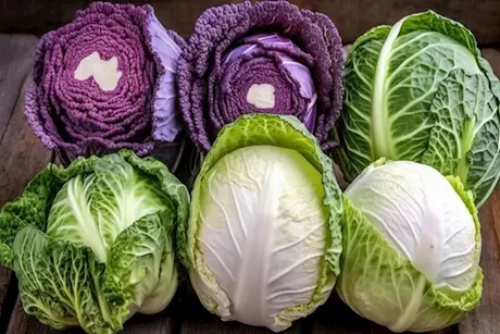 "الكرنب" أبرزهم.. خضراوات شتوية تدعم صحة الكبد