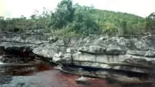 مناظر طبيعية خلابة.. ما قصة نهر الألوان الخمسة أو "نهر قوس قزح السائل"؟ "صور"