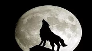 "يظهر غدا".. 12 صورة لظاهرة قمر الذئب العملاق الكامل