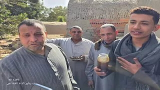 15 صورة ترصد استخراج 25 كيلو عسل من مقبرة بالمنوفية.. ما القصة؟ (فيديو)