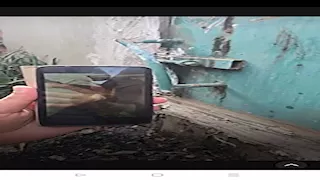 صور ترصد استخراج 25 كيلو عسل من مقبرة بالمنوفية.. ما القصة؟ (فيديو)