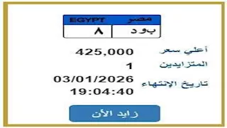 لوحة مميزة بسعر 425 ألف جنيه على بوابة مرور مصر.. ومزايد واحد حتى الآن