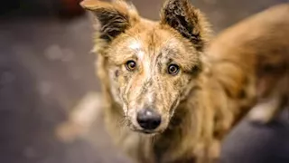 تبدو غير مؤذية.. احذر 5 مخلوقات شديدة الخطورة وقاتلة (صور)