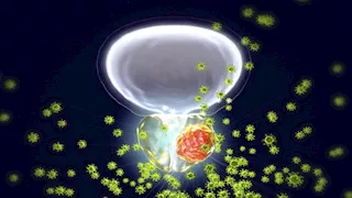 دراسة تحذر: تلوث الهواء يرفع خطر الإصابة بسرطان البروستات لدى الرجال