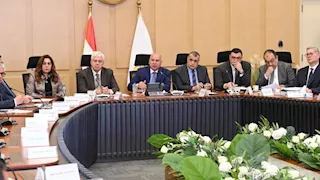 المجموعة الوزارية للتنمية الصناعية توافق على مشروع لتصنيع القلويات باستثمارات مليار دولار