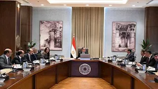 مراكز إيواء.. الحكومة تكشف محددات خطة التعامل مع الكلاب الضالة والمتروكة