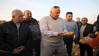 بميكنة كاملة.. الوادي الجديد تبدأ حصاد 100 ألف فدان بطاطس
