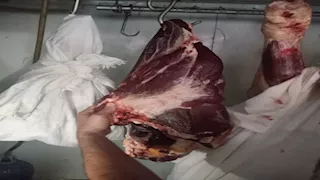 بـ 310 جنيهات للكيلو.. جنوب سيناء تتطرح دفعة جديدة من اللحوم السودانية