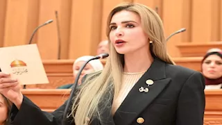 سؤال برلماني حول العائد المجتمعي للمشروعات الاستثمارية