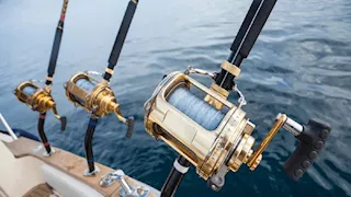 حقيقة مصادرة معدات صيد الهواة وتغريمهم 32 جنيهًا - بيان رسمي