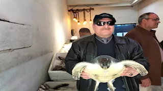 "كانت في محل أسماك".. العثور على سلحفاة مهددة بالانقراض بالمنصورة (صور)