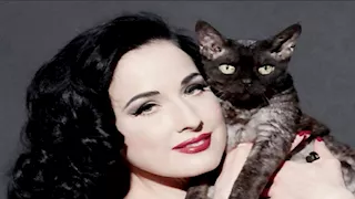 أشياء لن تصدقها في منازل المشاهير.. رفاهية وغرائب ستدهشك