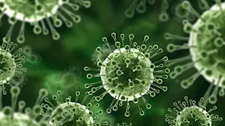 تفشٍ محدود لفيروس نيباه بالهند ودول آسيوية تشدد إجراءات المطارات