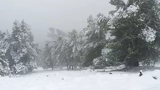 هطول ثلوج سميكة.. الأرصاد الألمانية تحذر من وضع جوي خطير 