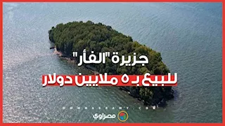 بـ 5 ملايين دولار.. جزيرة على شكل "فأر" تثير الجدل في أوهايو.. ما قصتها؟