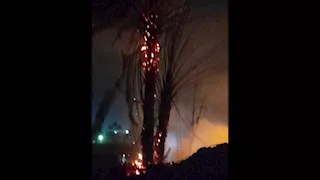 لا حريق بالمحطة.. النيران تلتهم نخيلًا في "بلانة" بأسوان 