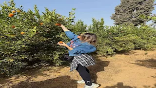 "جنينة" فاكهة.. زوجة عمرو السولية تنشر صورا مع بناتها 