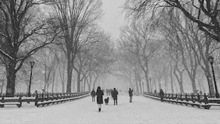 وفاة نحو 22 شخصا في 12 ولاية أمريكية بسبب العاصفة الثلجية