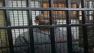 أيوة قتلتهم.. كواليس محاكمة عامل ذبح أطفاله الثلاثة انتقامًا من زوجته بالمنيا -صور