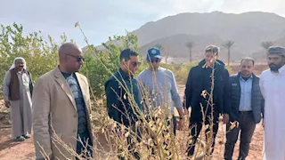 جنوب سيناء تتجه نحو الزراعة العضوية بوادي فيران