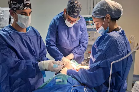 الرعاية الصحية: إجراء عمليات جراحية دقيقة بمستشفى أسوان التخصصي.. ما التفاصيل؟  