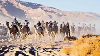 منطقة الزلقة بجنوب سيناء.. أصل الفروسية وموطن سباقات الهجن التراثية (صور)