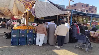 اللحوم بـ300 جنيه.. منافذ لطرح خضر وفاكهة مخفضة بالوادي الجديد