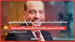 النائب محمود الشامي: نحتاج ضخ دماء جديدة في الحكومة وتغيير وزراء التموين والزراعة والتنمية المحلية